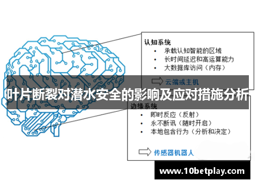 叶片断裂对潜水安全的影响及应对措施分析